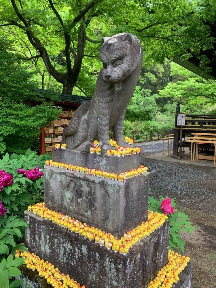 みみみさんが投稿した多聞院と毘沙門堂に関する口コミの画像