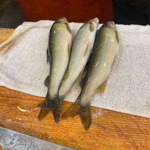 千寿 一歩一歩 ムスブ田町店 5枚目