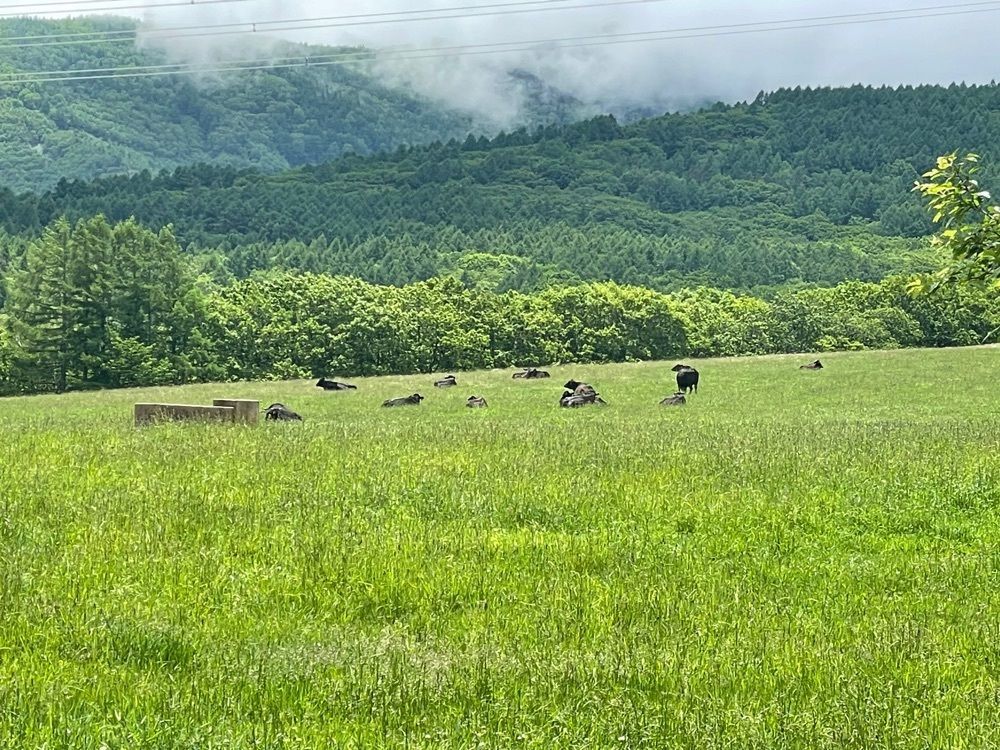 nostalgic_hiking_bca8さんが投稿した牛乳専科もうもうに関する口コミの画像