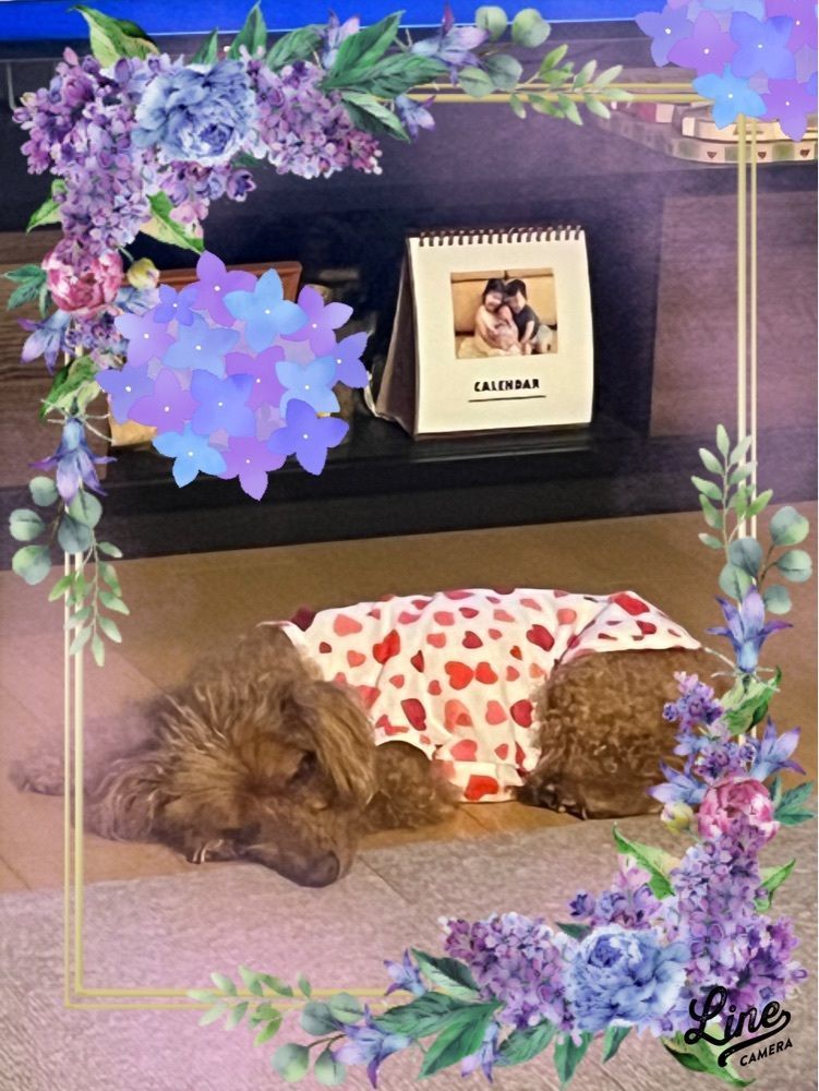 chou chou tabiさんが投稿した富川シティホテルに関する口コミの画像