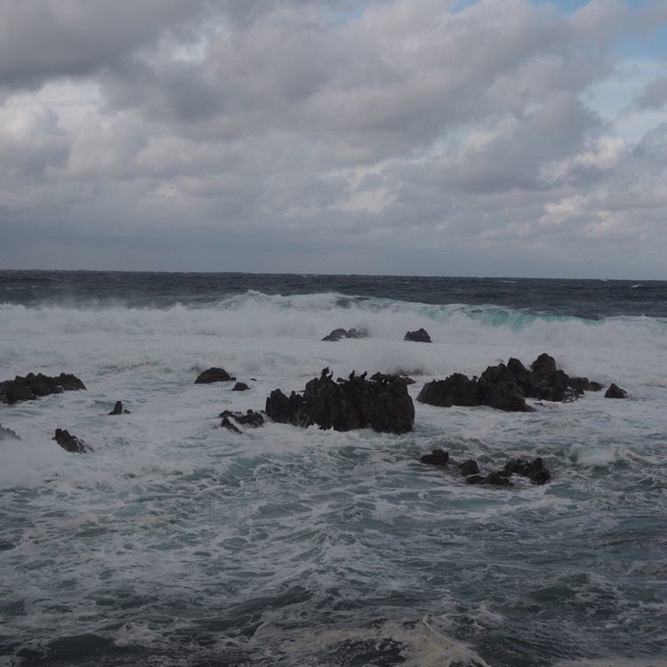 なおなおさんが投稿した越前南部温泉露天風呂「日本海」に関する口コミの画像