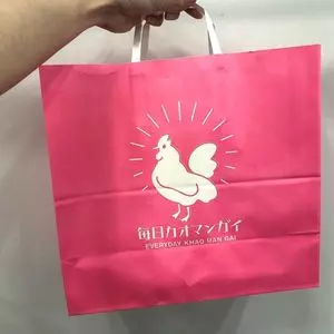 毎日カオマンガイ