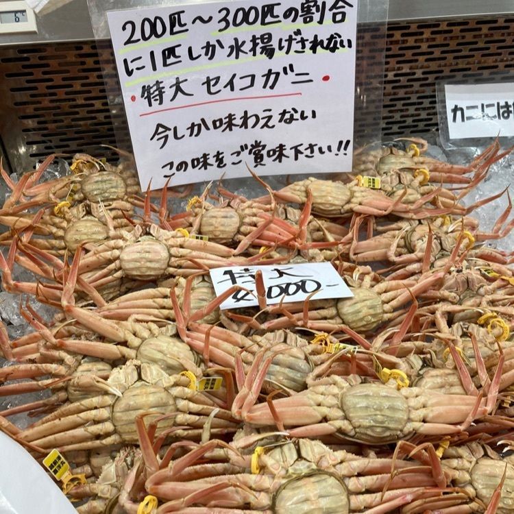 なおなおさんが投稿した道の駅　越前　に関する口コミの画像