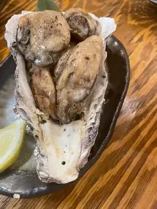 こたろう