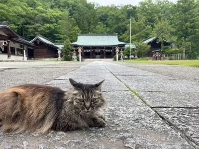 山梨県護国神社