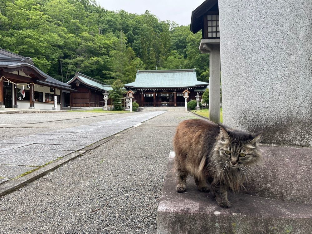 なっつん。さんが投稿した山梨県護国神社に関する口コミの画像