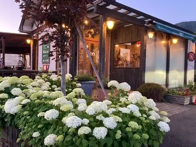 HOLZ しもすわ店（ホルツ【旧店名】ホルツはつしま）