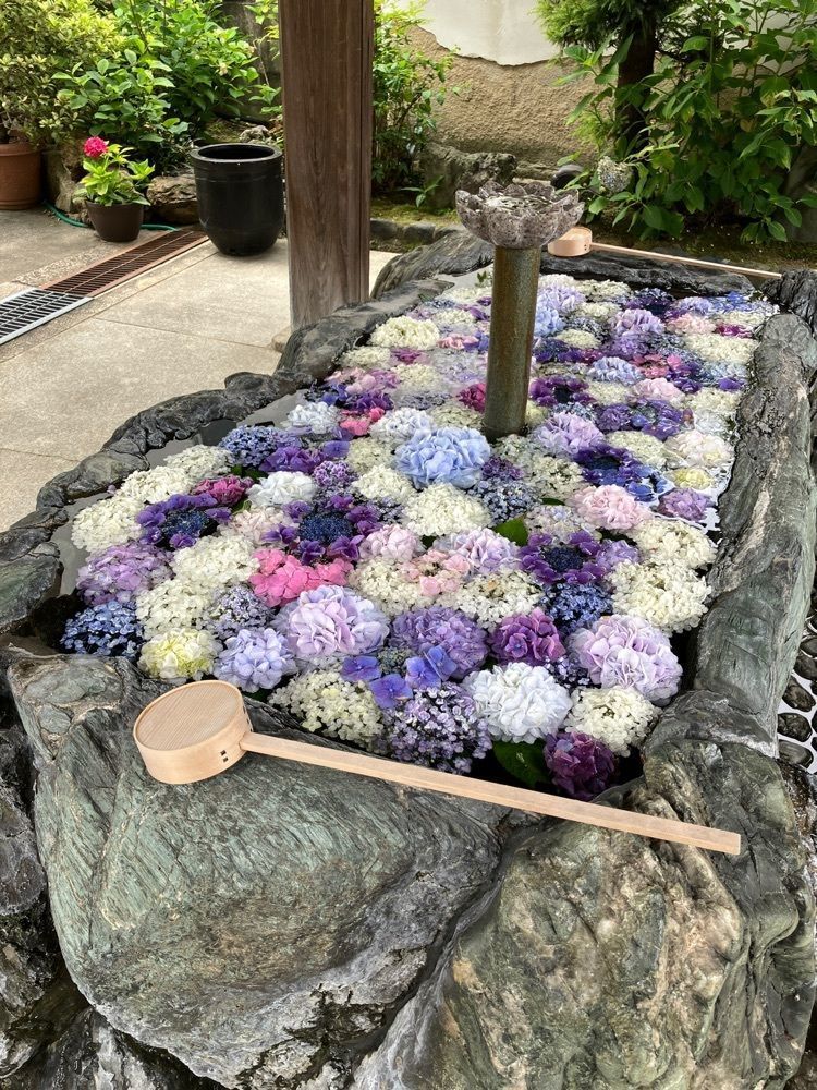 べべさんが投稿した柳星山 常念寺に関する口コミの画像