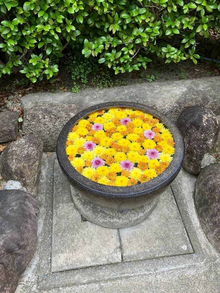 べべさんが投稿した柳星山 常念寺に関する口コミの画像