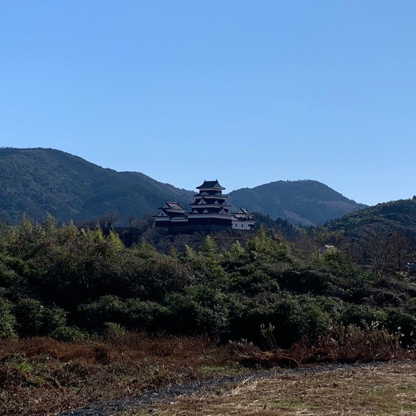 メリーさんが投稿した大洲市に関する口コミの画像