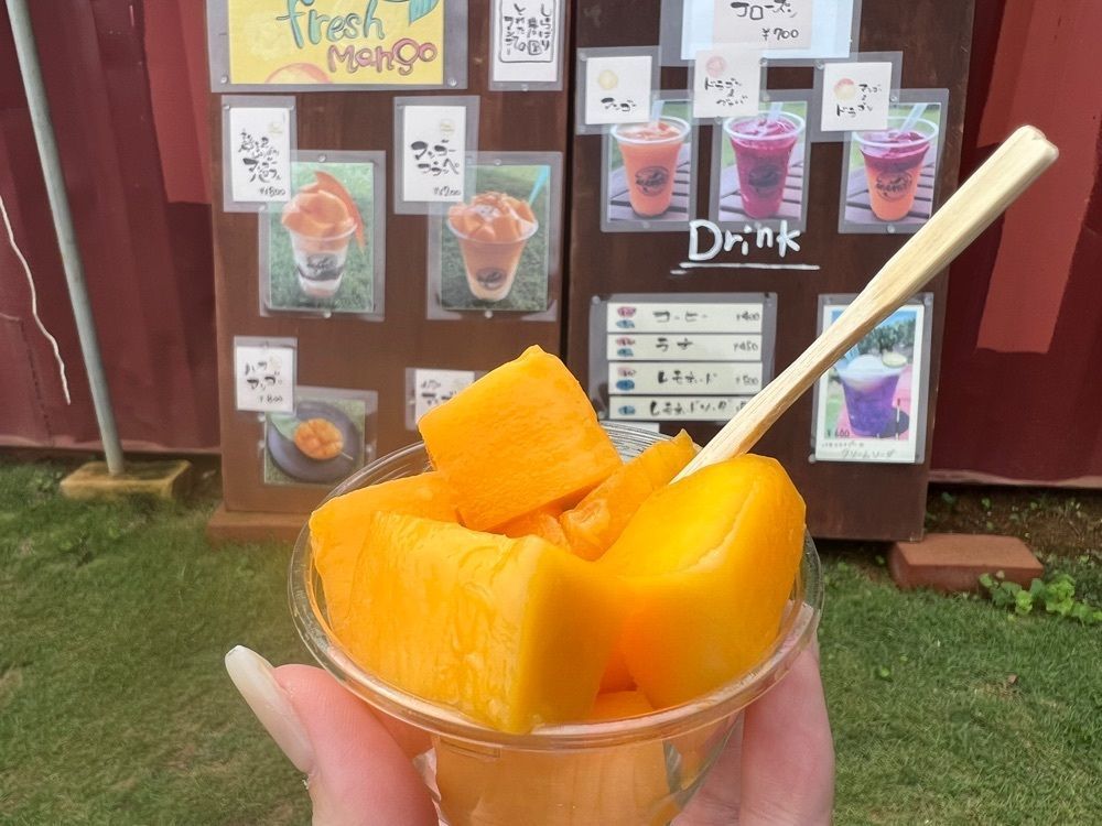 m.i.m.iさんが投稿したSHIRABARI MANGO FACTORY（シラバリ マンゴー ファクトリー）に関する口コミの画像