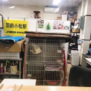 施設画像