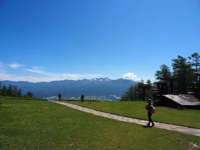 入笠山のすずらん