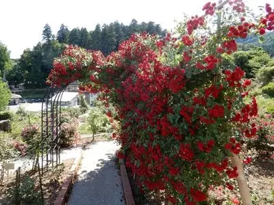 双松公園