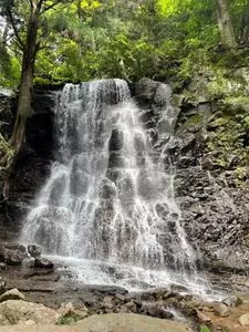 母の白滝