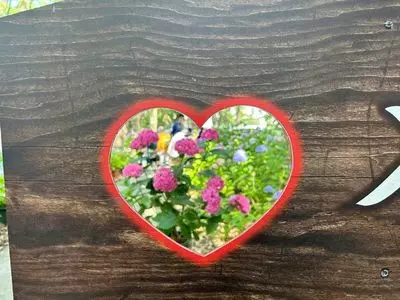 筥崎宮あじさい苑