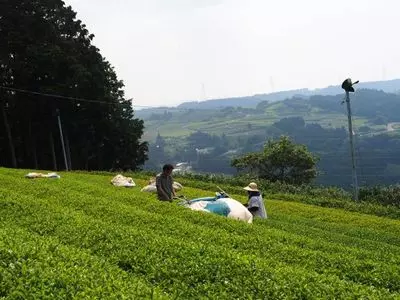 粟ケ岳