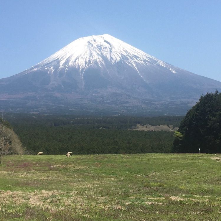 からっ風②さんが投稿した人穴浅間神社に関する口コミの画像