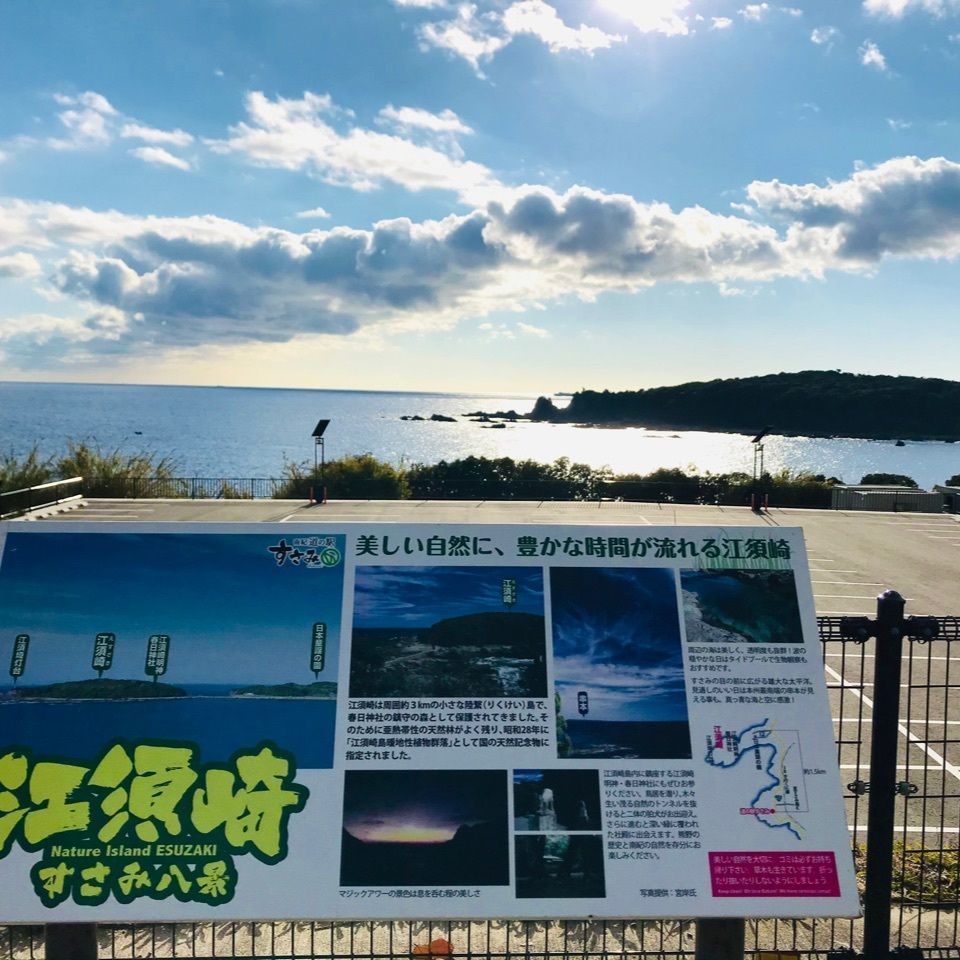 K♡︎ᵎᵎᵎさんが投稿したすさみ町立エビとカニの水族館に関する口コミの画像