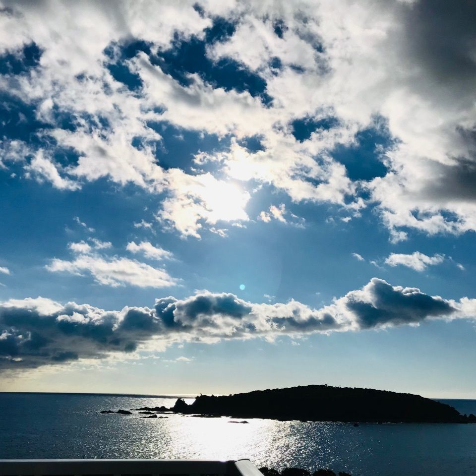 K♡︎ᵎᵎᵎさんが投稿したすさみ町立エビとカニの水族館に関する口コミの画像