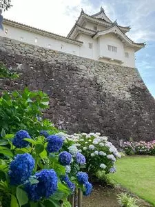 舞鶴城公園（山梨県甲府市）