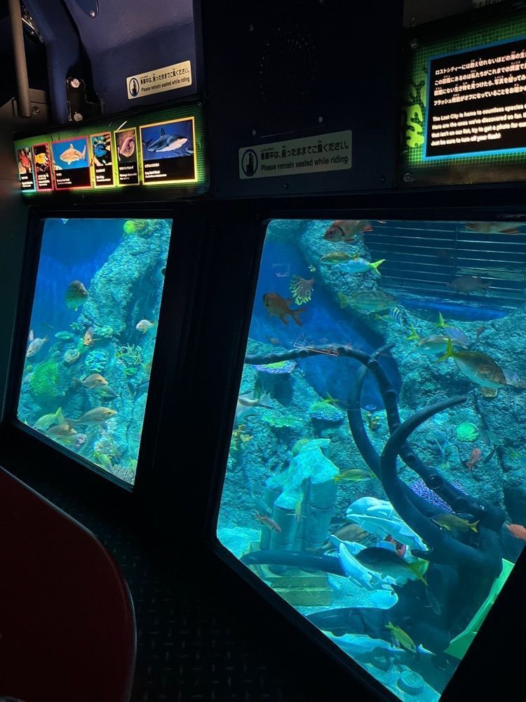 raika.n1808さんが投稿したLEGOLAND Japan Resort に関する口コミの画像
