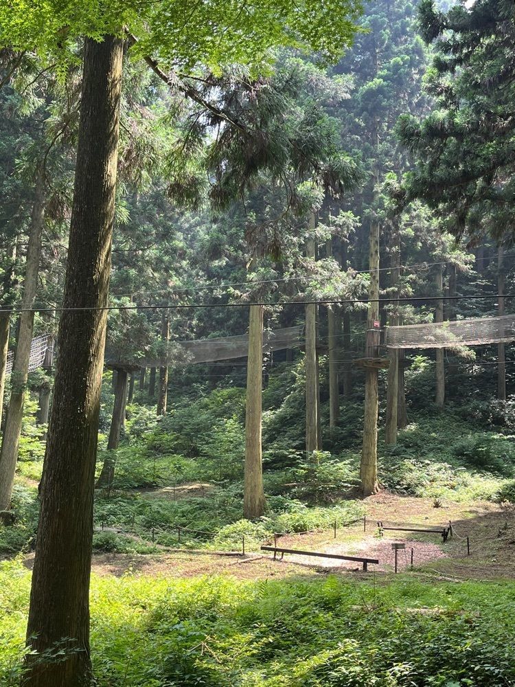 ヤベっちさんが投稿したフォレストアドベンチャー・糸島に関する口コミの画像