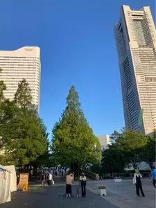 アマルフィイ カフェ（AMALFI CAFFE） 2枚目