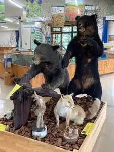 湯の丸自然学習センター