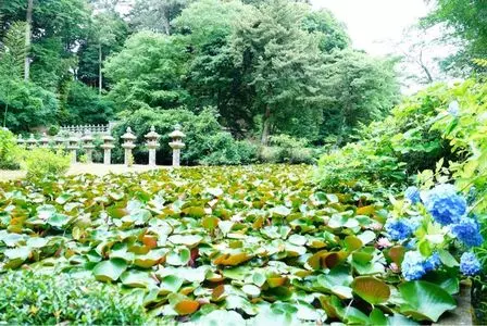 月照寺