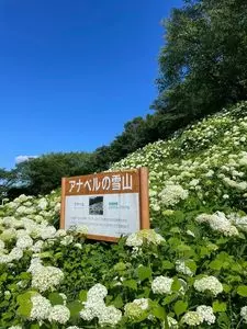 Wonderful Nature Village