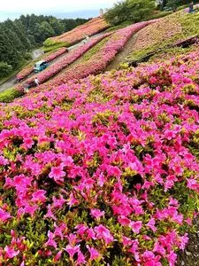 湯河原カンツリー倶楽部