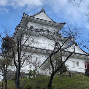小田原城