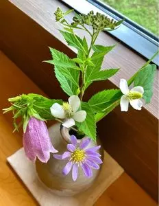 草允　わらび野（そういん　わらびの）