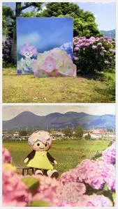 開成あじさいの里