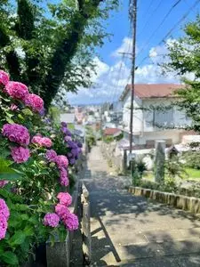 福井市愛宕坂茶道美術館