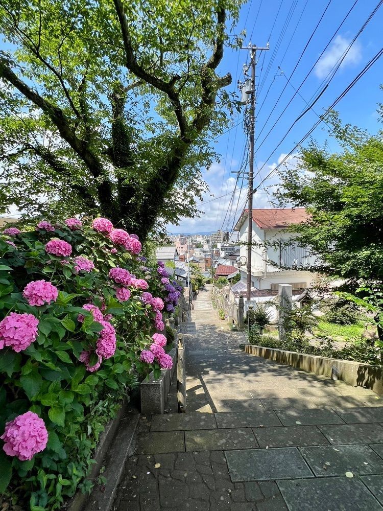yuyuさんが投稿した福井市愛宕坂茶道美術館に関する口コミの画像