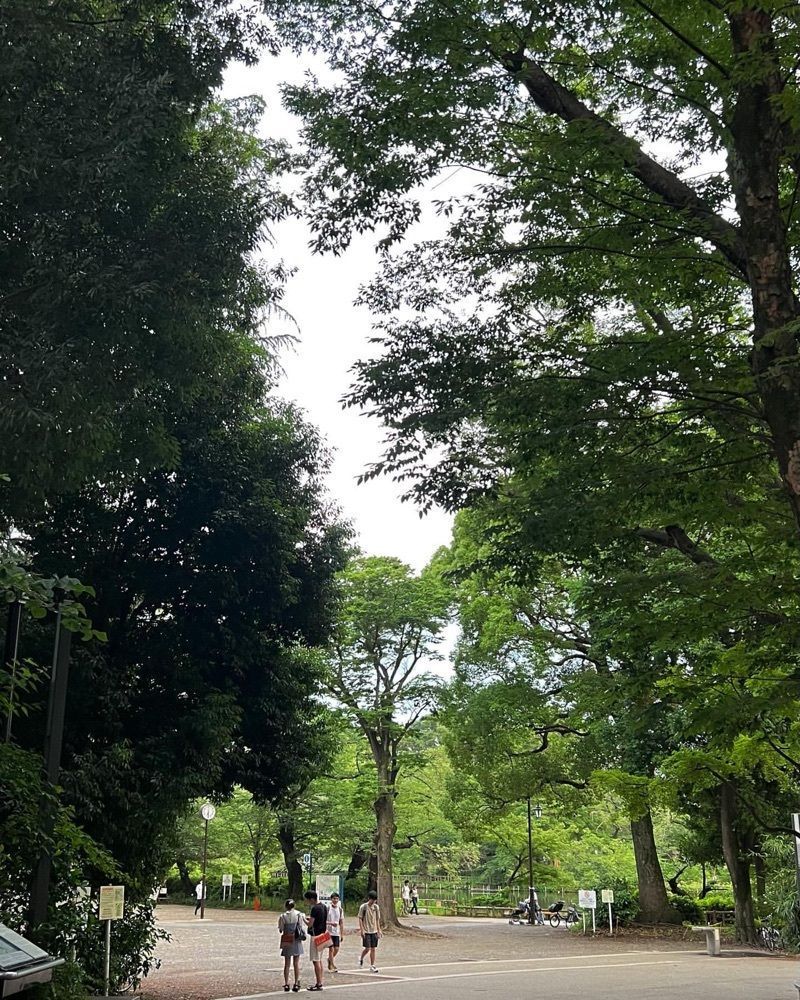 pyonpyono3さんが投稿したゆりあぺむぺるに関する口コミの画像