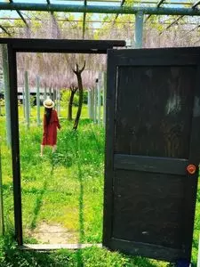 藤島歴史公園