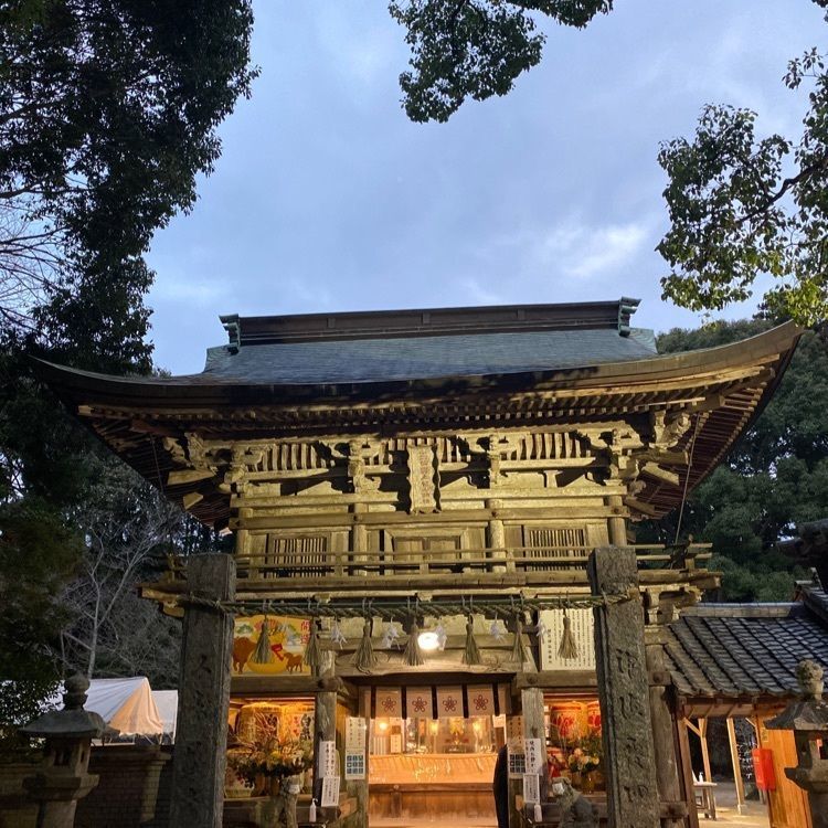 surumeの画像