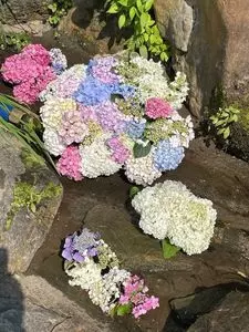 あさひ製菓株式会社
