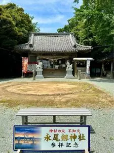 不知火現象