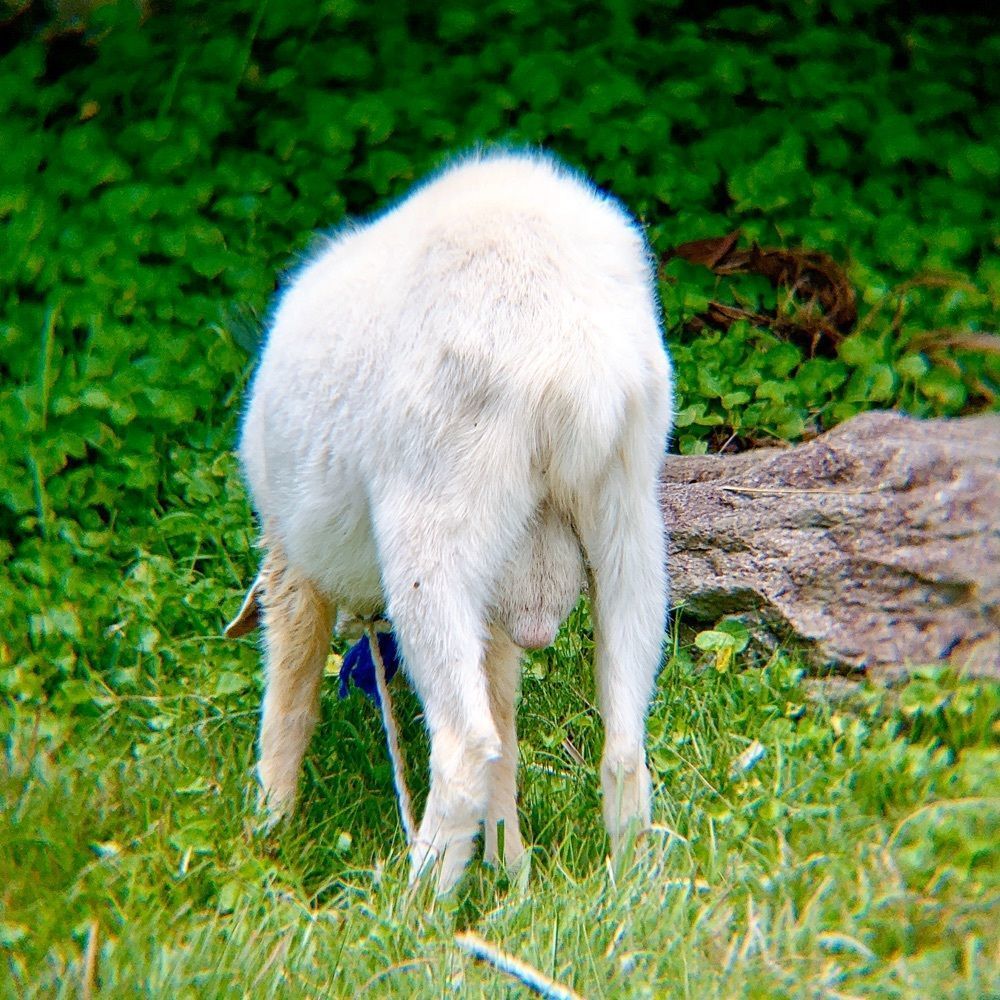 兎きちさんが投稿した大漁丸に関する口コミの画像