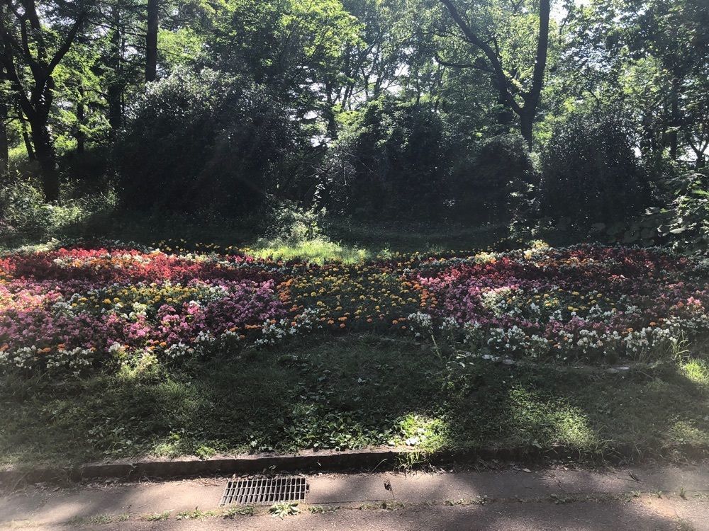 それなはとけさんが投稿したオオムラサキセンターに関する口コミの画像