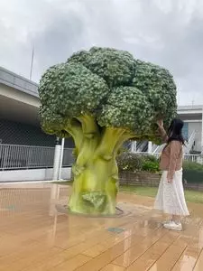 神戸空港