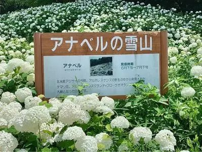 Wonderful Nature Village
