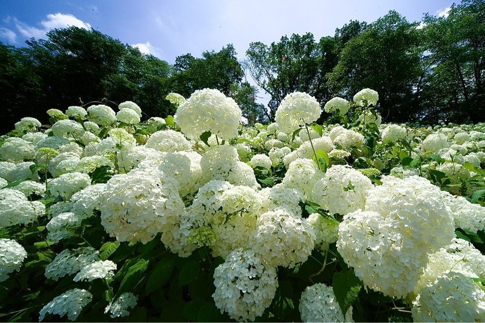 junkunさんが投稿したWonderful Nature Villageに関する口コミの画像