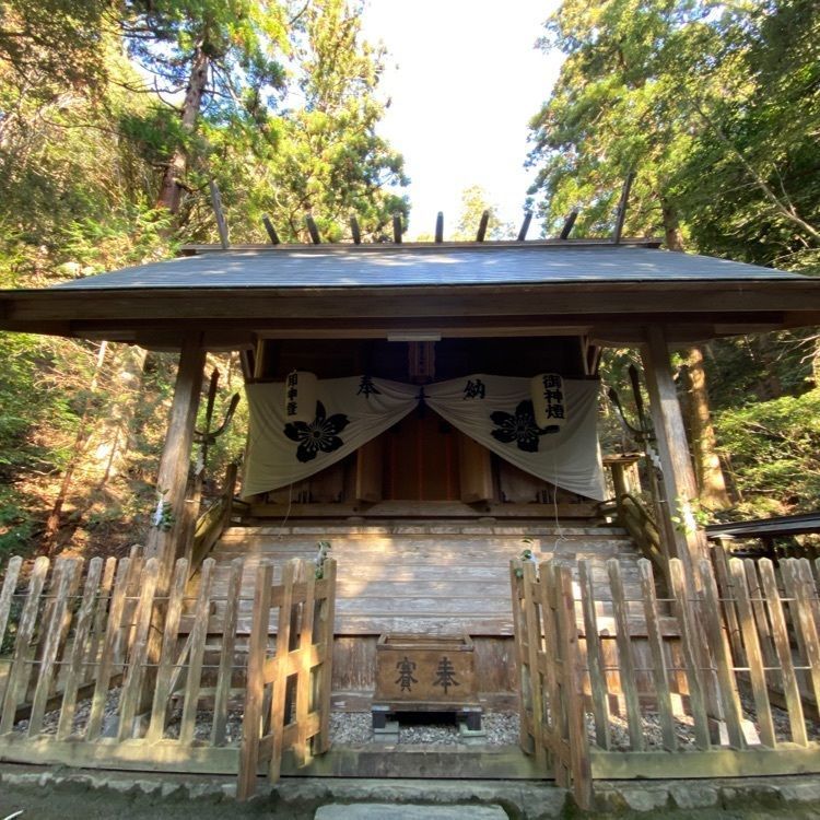surumeさんが投稿した伊野天照皇大神宮に関する口コミの画像