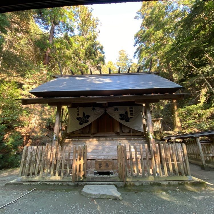 surumeさんが投稿した伊野天照皇大神宮に関する口コミの画像