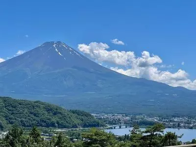 河口湖自然生活館 ブルーベリーの里（KAWAGUCHIKO NATURAL LIVING CENTER）